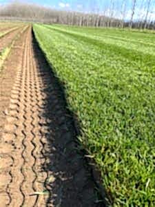 anka çim firmasından üretim yeri görseli